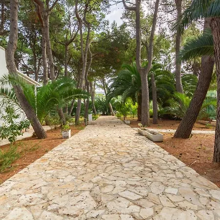 Iremar F - Myho Casa